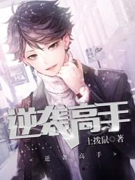 逆袭高手