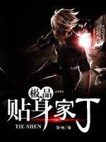 贴身家丁 贴身家丁